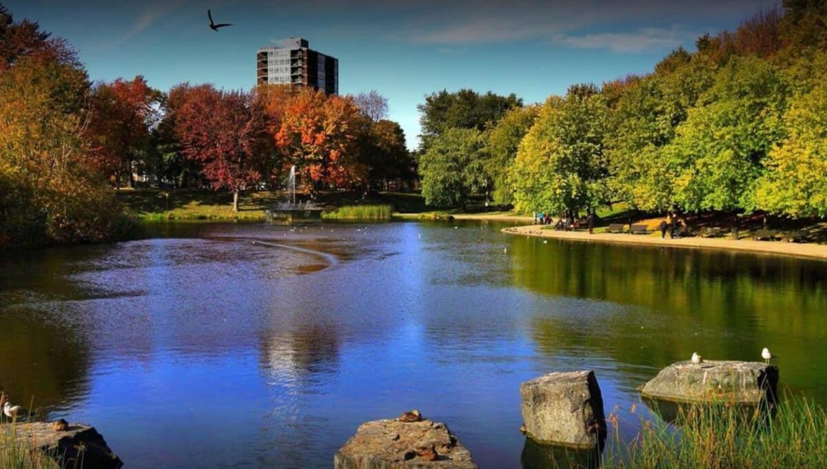Ideal Group In Charming Le Plateau Near Metro Apartment